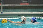 WWPolo vs CC  Wheaton College Women’s Water Polo compete in their sports inaugural match vs Connecticut College. - Photo By: KEITH NORDSTROM : Wheaton, water polo, inaugural